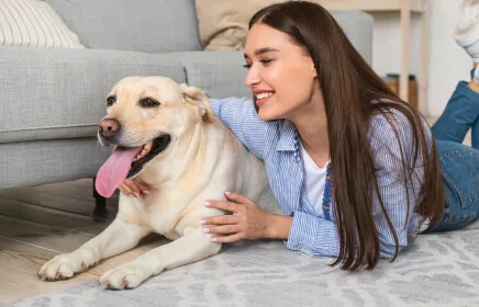 Sadakatin sembolü Argos köpeği — Argos Veteriner Kliniği marka hikayesi