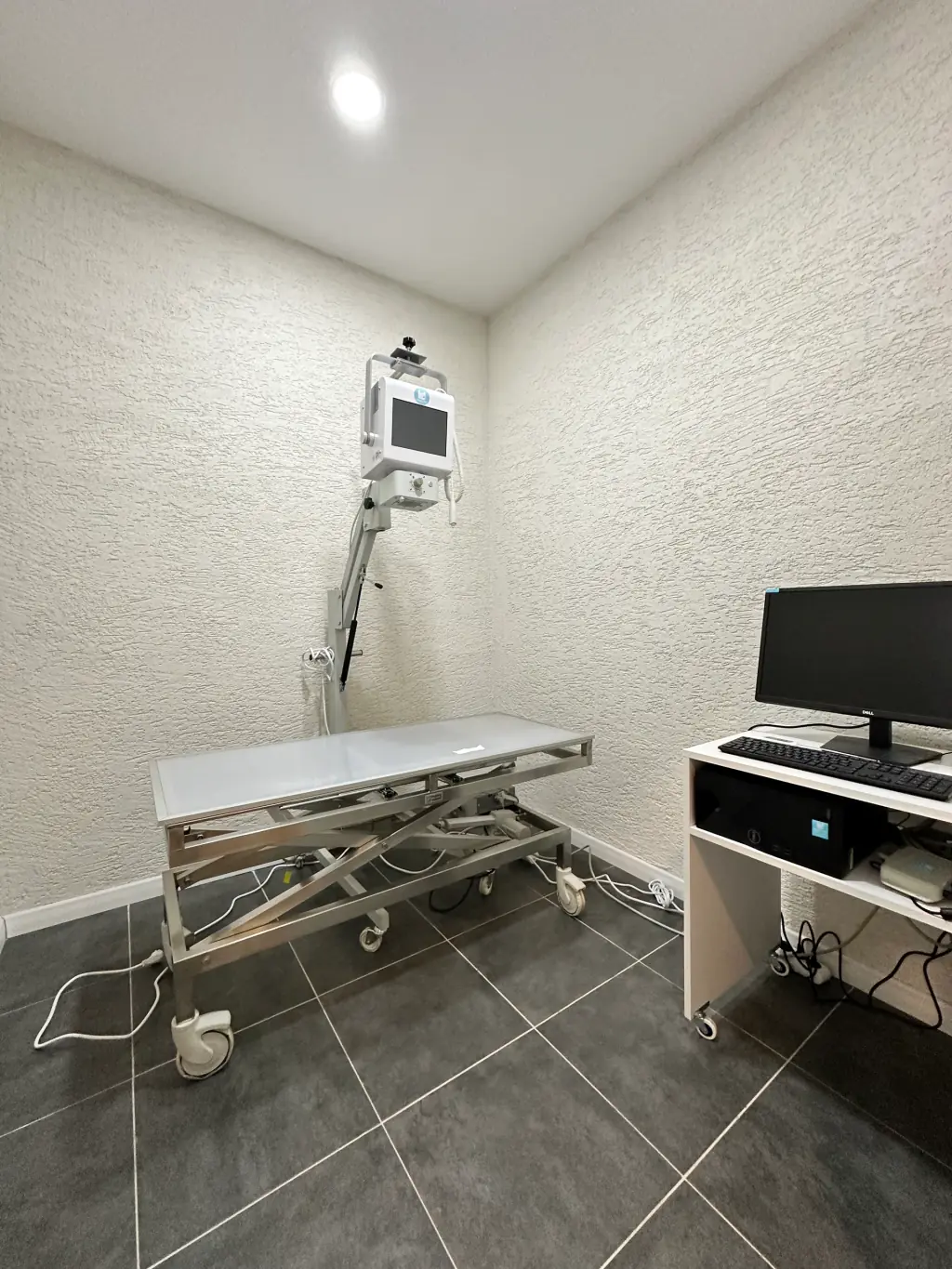 Röntgen - Argos Veteriner Kliniği