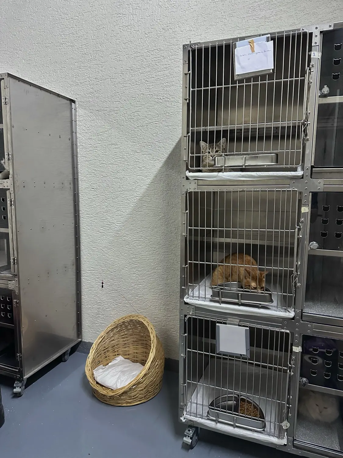 Konaklama — Argos Veteriner Kliniği, Çekmeköy