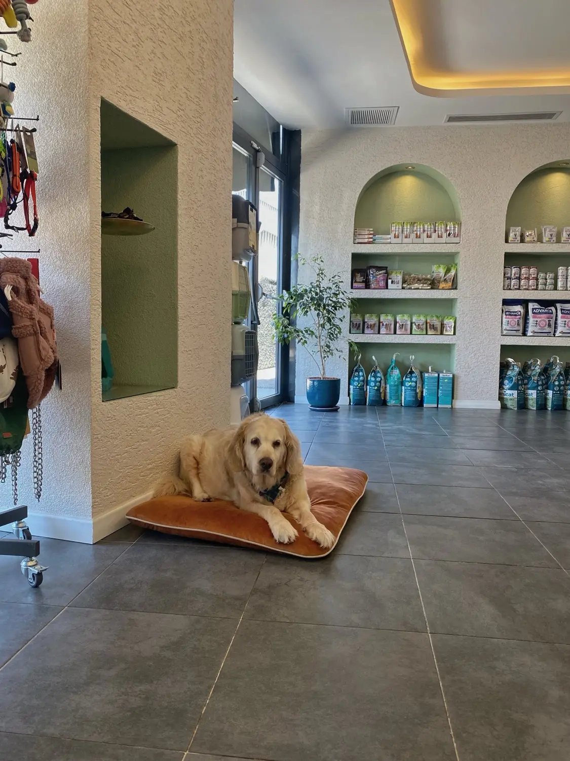Lobi — Argos Veteriner Kliniği, Çekmeköy