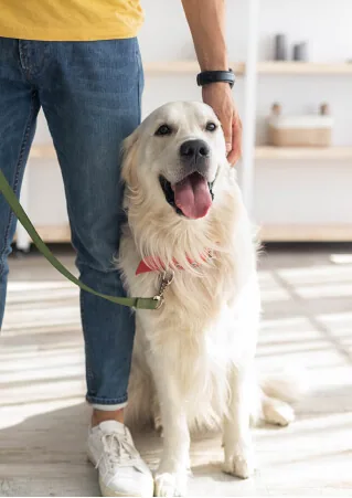 Argos Veteriner Kliniği rutin köpek kontrolü — Çekmeköy